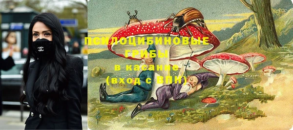 a pvp Балабаново